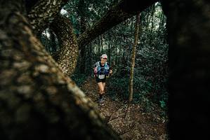 BIB: 
                            <button type="button" onclick="openModal(25667092)" class="btn btn-primary btn-sm float-right btn-popup" data-toggle="modal" data-target=".modal-high-quality">
                        <i class="fas fa-shopping-cart"></i> Add to Cart
                    </button>
                                            <button type="button" onclick="isThisMe(25667092, true)" class="btn btn-success btn-sm float-right btn-popup btn-isme hidden" data-toggle="tooltip" data-placement="bottom" title="นี่คือรูปของคุณใช่ไหม คลิกที่นี่เพื่อเอาเข้าอัลบั้ม">
                        <i class="fas fa-plus"></i> Add to album
                    </button>
                    <button type="button" onclick="isThisMe(25667092, false)" class="btn btn-warning btn-sm float-right btn-popup btn-isnotme hidden">
                        <i class="fas fa-ban"></i> Remove from album
                    </button>